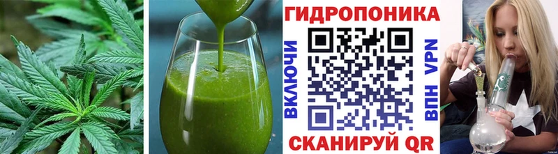 Canna-Cookies марихуана Купить где Нестеров