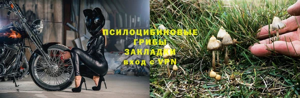 mdpv Щигры