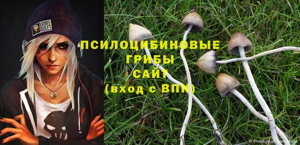 соль курить ск Щёлкино
