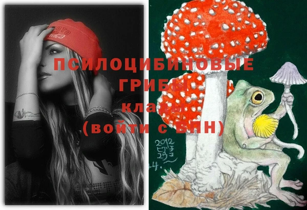 2c-b Щучье