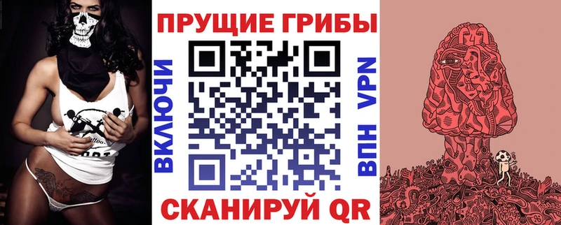 Купить где  Нестеров  Галлюциногенные грибы ЛСД 