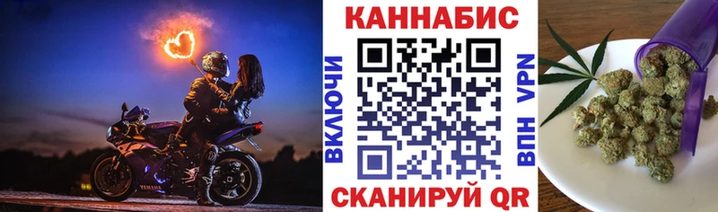 Купить закладки  Нестеров  Марихуана план 